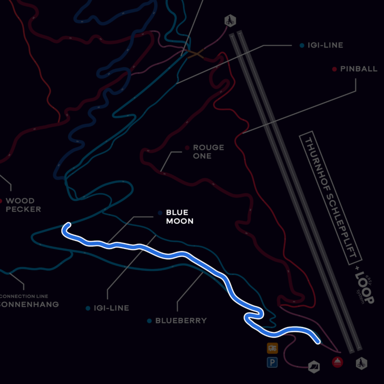 Hervorgehoben: Trail Blue Moon - Bikepark Arber