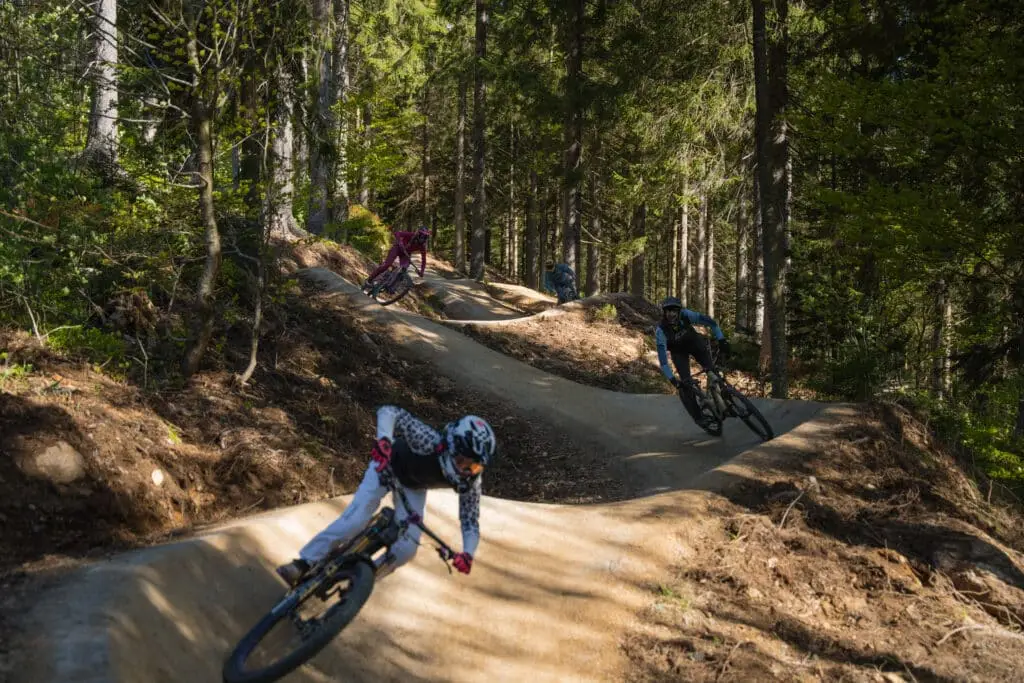 Blue Flow Trail - Blueberry - Bikepark Arber